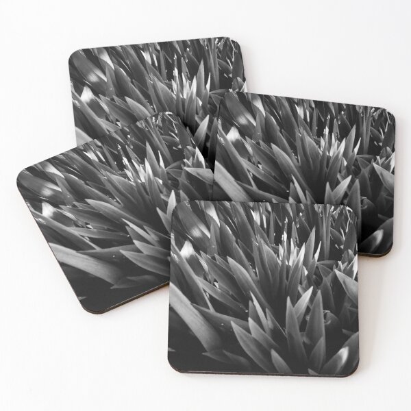 Item preview, black and white photography designed and sold by Melquidedec.