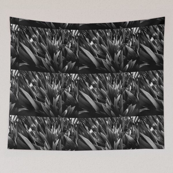 Item preview, black and white photography designed and sold by Melquidedec.