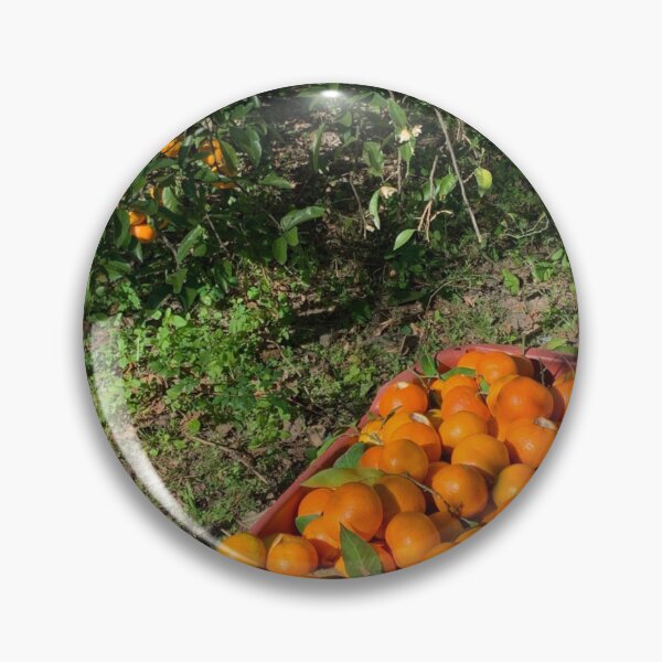Item preview, Fresh picked oranges! designed and sold by Adasha Knight.