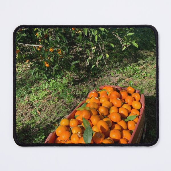 Item preview, Fresh picked oranges! designed and sold by Adasha Knight.