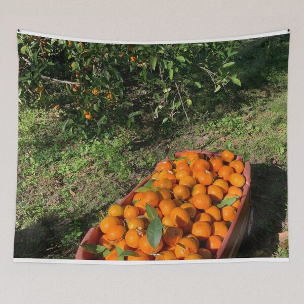 Item preview, Fresh picked oranges! designed and sold by Adasha Knight.