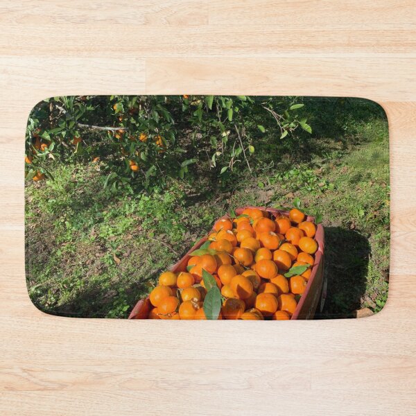 Item preview, Fresh picked oranges! designed and sold by Adasha Knight.