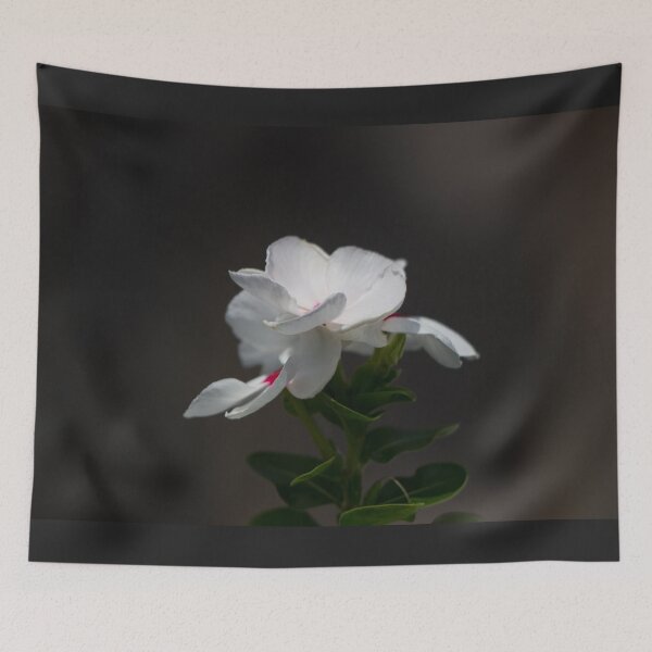 Item preview, White magnolia flower designed and sold by Shizenkai.