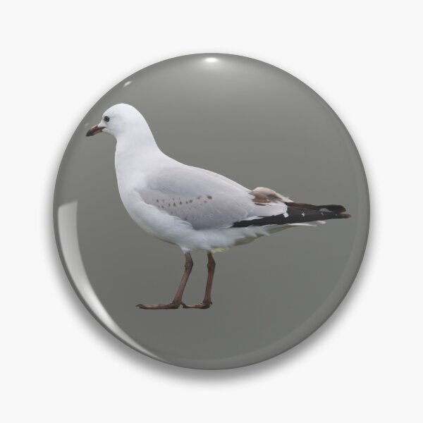Artikelvorschau, Erstaunlicher Albatros entworfen und verkauft von RainbowSpinkle.