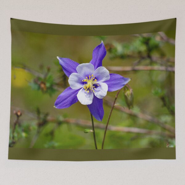 Item preview, Colorado blue columbine designed and sold by Shizenkai.