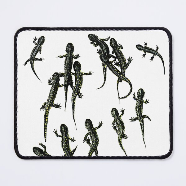 Item preview, Spotted Salamanders designed and sold by UffdaGreg.