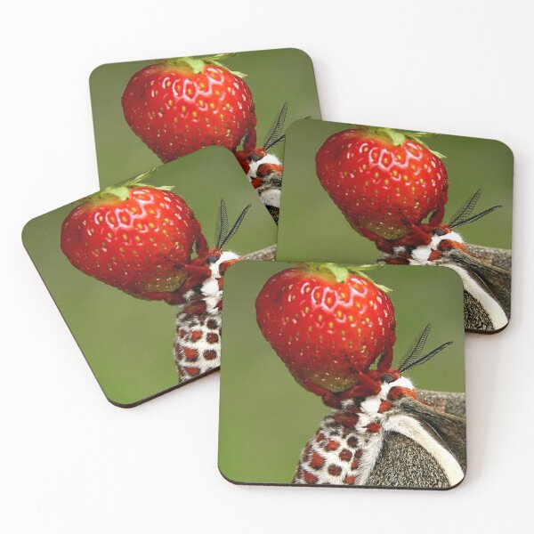 Item preview, Strawberry Cecropia designed and sold by UffdaGreg.