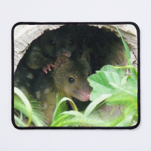 Item preview, Spotted Quoll designed and sold by elsha.