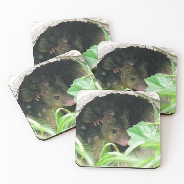 Item preview, Spotted Quoll designed and sold by elsha.