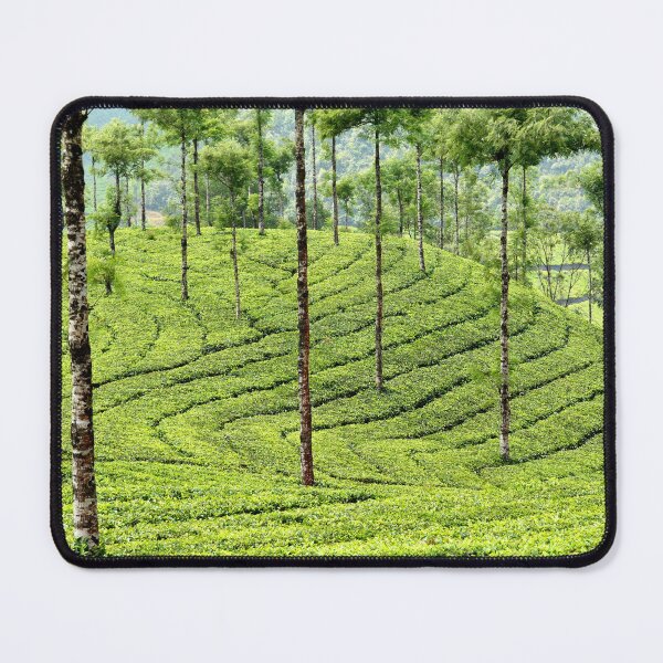 Item preview, Vast Tea Plantations in the Hills of Kerala designed and sold by franck380.