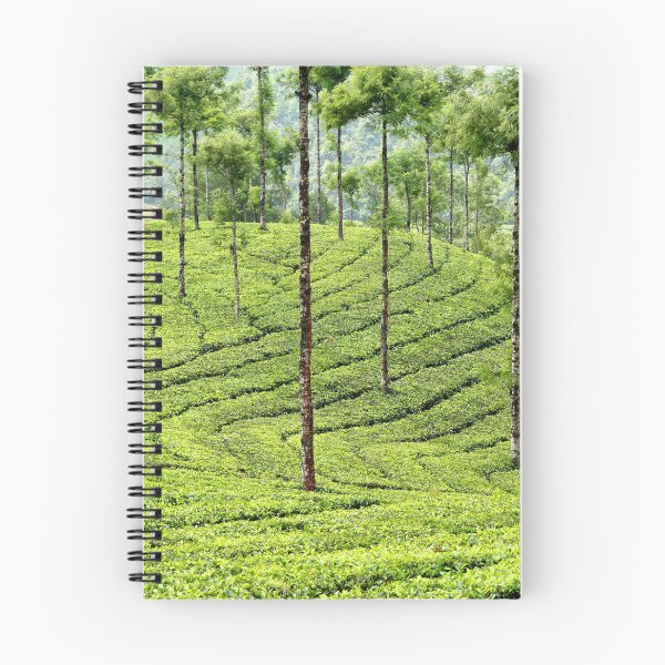 Item preview, Vast Tea Plantations in the Hills of Kerala designed and sold by franck380.