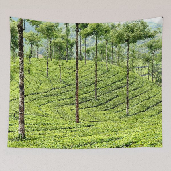 Item preview, Vast Tea Plantations in the Hills of Kerala designed and sold by franck380.