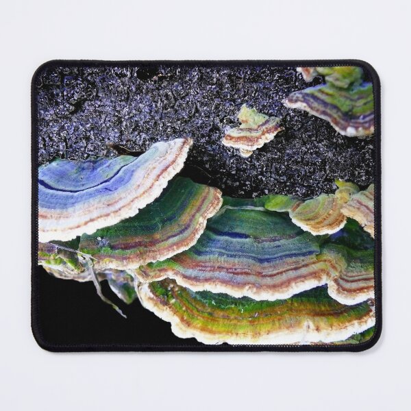 Item preview, Back in Black............& Green, & Brown, & White.......... designed and sold by elsha.