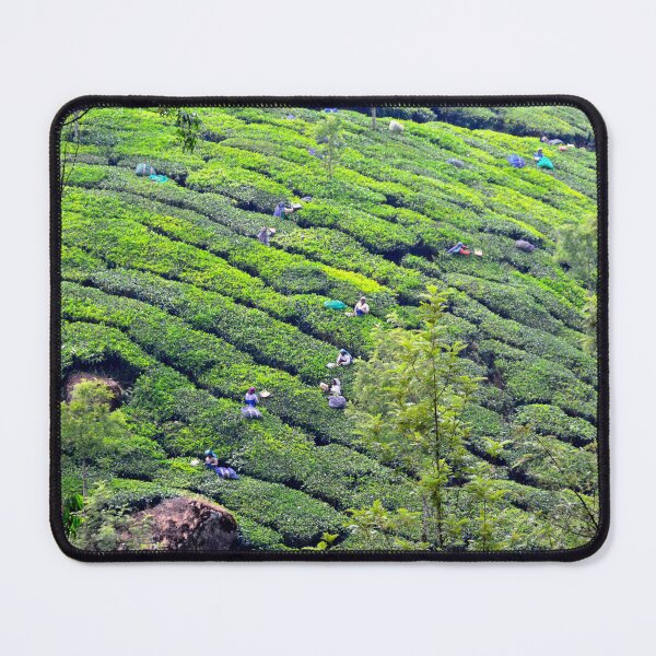Item preview, India - Munnar designed and sold by franck380.