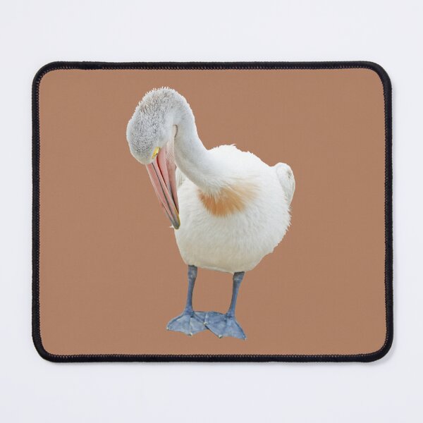 Item preview, Preening Australian Pelican designed and sold by STHogan2.