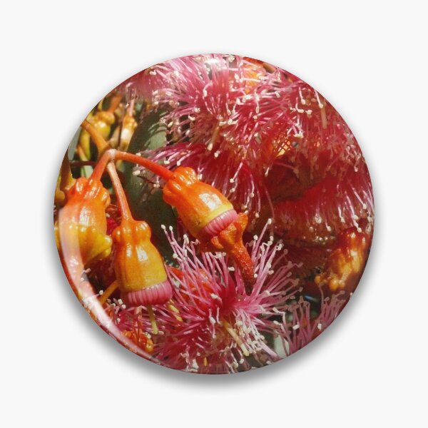 Item preview, Australian Beauty designed and sold by elsha.