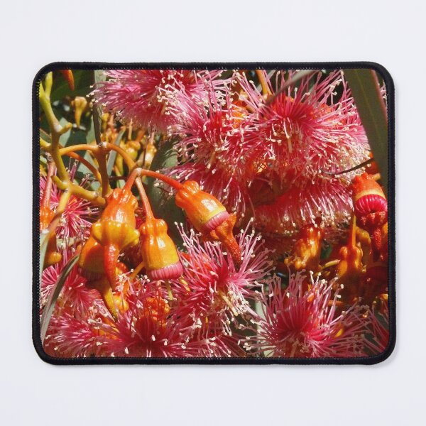 Item preview, Australian Beauty designed and sold by elsha.