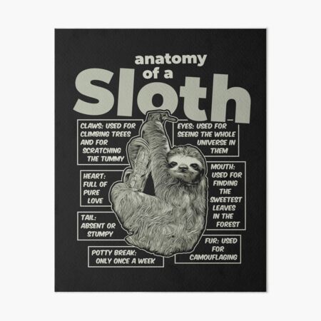 "Anatomy of a Sloth" Art Board Print for Sale by radvas | Redbubble