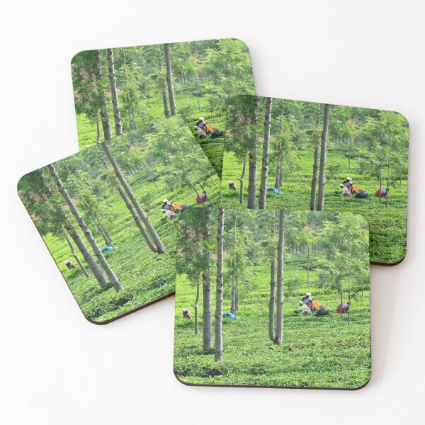 Item preview, India - Ooty tea plantation designed and sold by franck380.