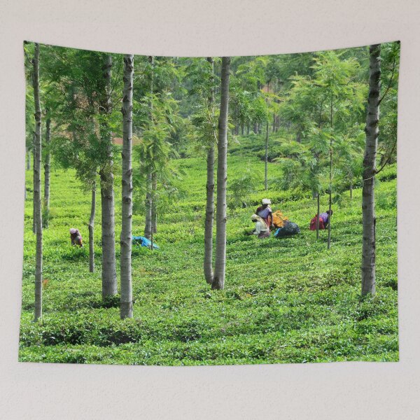 Item preview, India - Ooty tea plantation designed and sold by franck380.