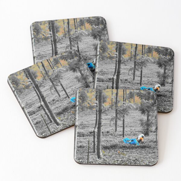 Item preview, India - Ooty tea plantation designed and sold by franck380.