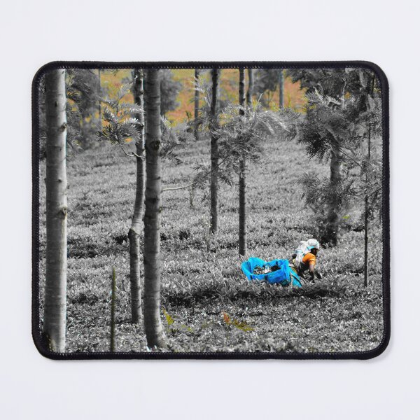 Item preview, India - Ooty tea plantation designed and sold by franck380.