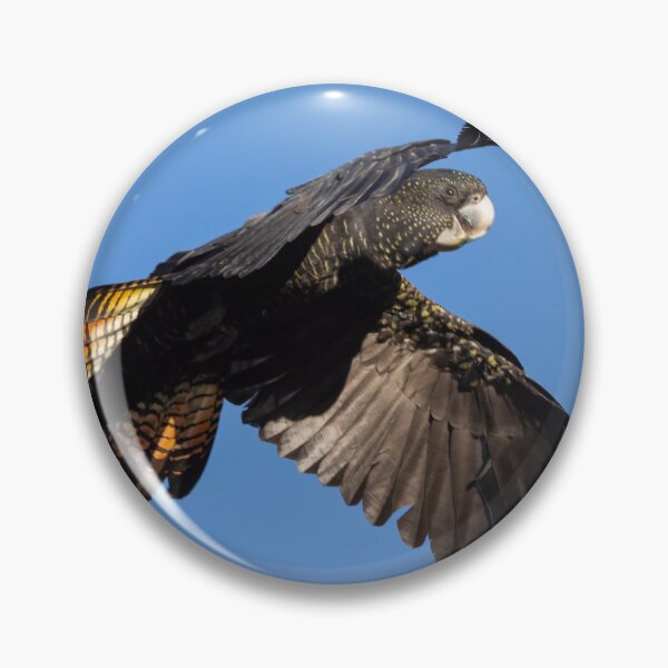 Item preview, Beauty in flight designed and sold by Peter Caddy.