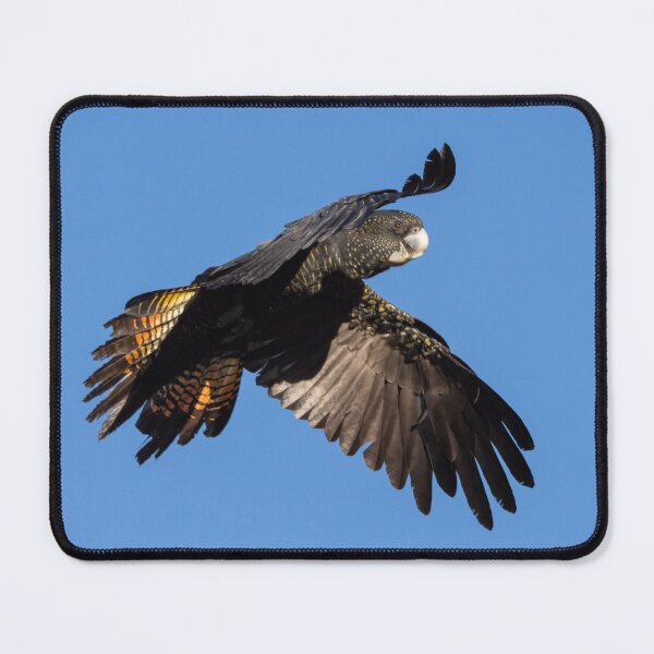 Item preview, Beauty in flight designed and sold by Peter Caddy.