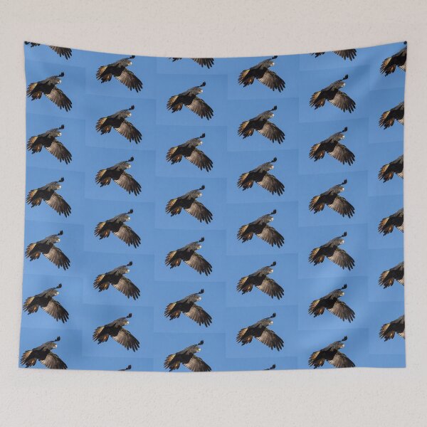 Item preview, Beauty in flight designed and sold by Peter Caddy.
