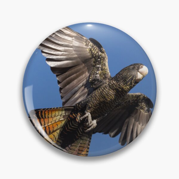 Item preview, Red tail flash designed and sold by Peter Caddy.