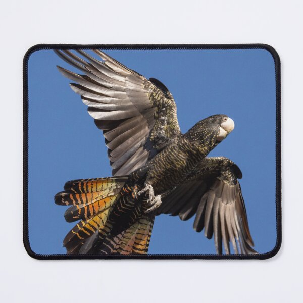 Item preview, Red tail flash designed and sold by Peter Caddy.