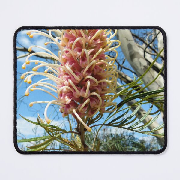 Item preview, Sheer Beauty designed and sold by elsha.