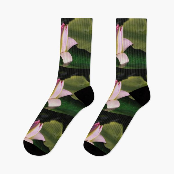 Item preview, Pastel Pink Water Lily Going To Sleep designed and sold by Robert Armendariz.