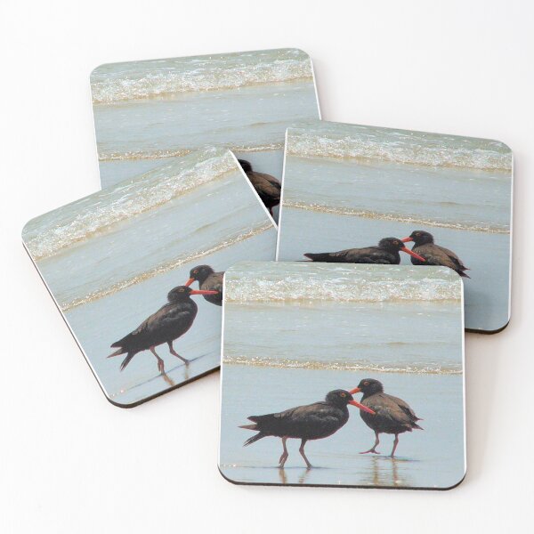 Item preview, Oyster catchers designed and sold by elsha.
