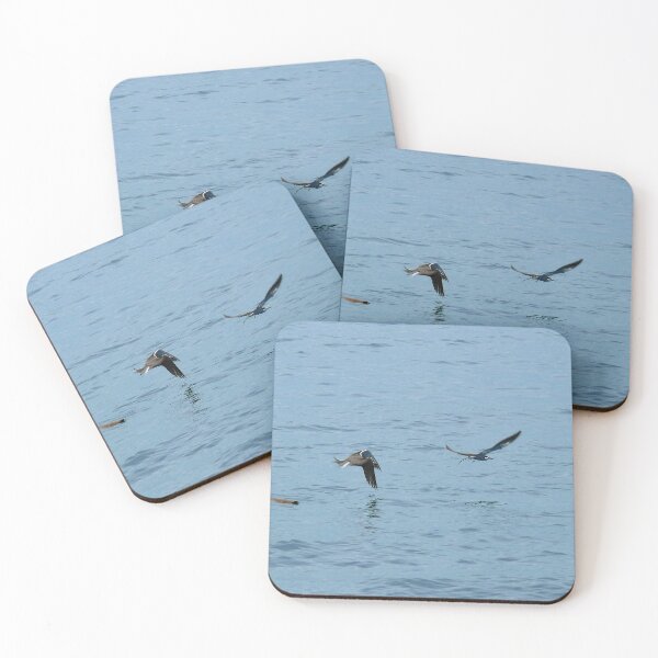 Item preview, In flight-out of sight of land. designed and sold by elsha.