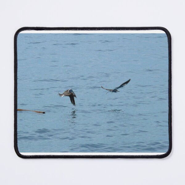 Item preview, In flight-out of sight of land. designed and sold by elsha.