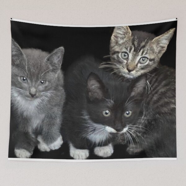 Item preview, Dulces gatitos rescatados designed and sold by Adasha Knight.