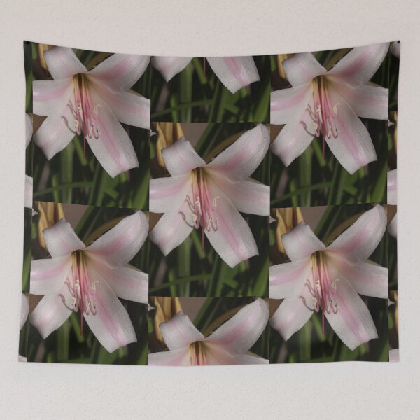 Item preview, Daylily designed and sold by Robert Armendariz.