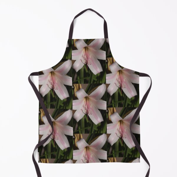 Item preview, Daylily designed and sold by Robert Armendariz.