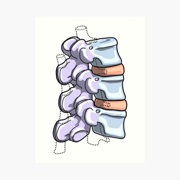 Lumbar Vertebrae Illustration Art Print