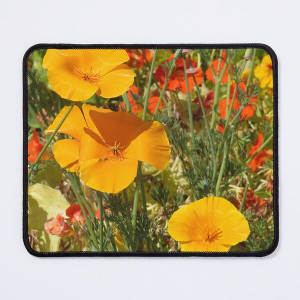 Item preview, Glorious Glowing California Poppies designed and sold by CarolBeeDesigns.