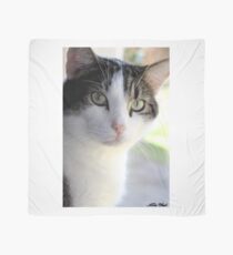 Handsome Scarf