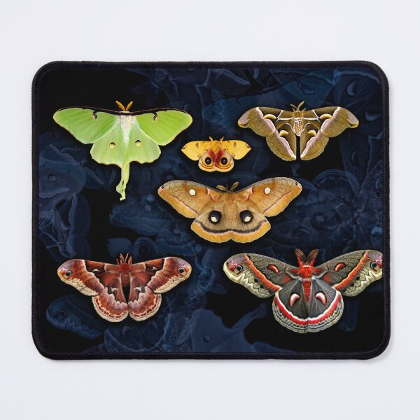 Item preview, American Moths designed and sold by UffdaGreg.