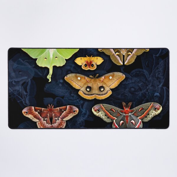 Item preview, American Moths designed and sold by UffdaGreg.