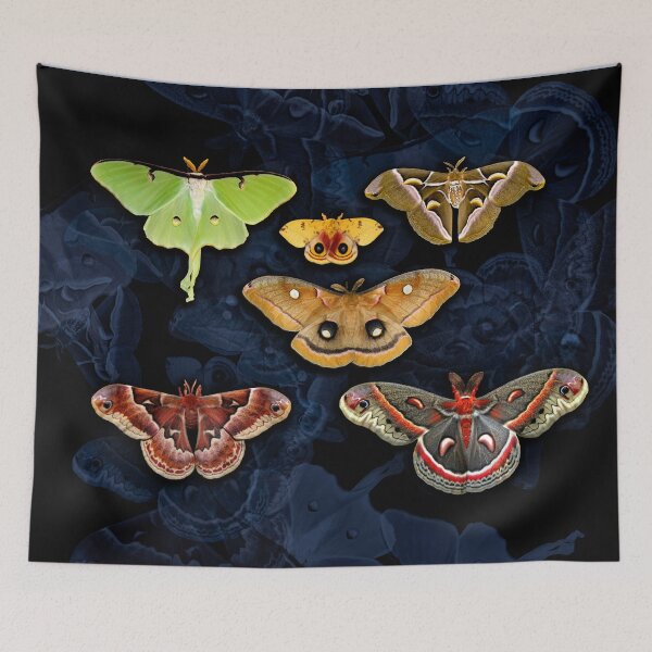 Item preview, American Moths designed and sold by UffdaGreg.