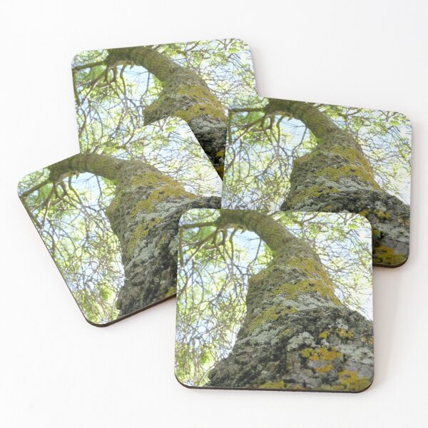 Item preview, Alcanzar designed and sold by elsha.