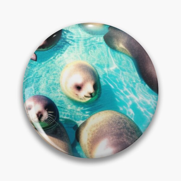 Artikelvorschau, Seals Cooling in the Water entworfen und verkauft von Sweet-Medley.