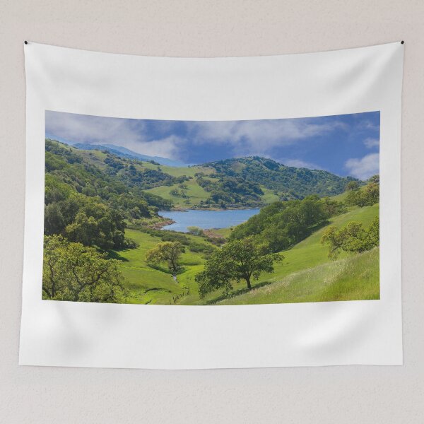 Item preview, Calero Reservoir with Lushy Green Oak Forest and Grasslands designed and sold by yhelfman.
