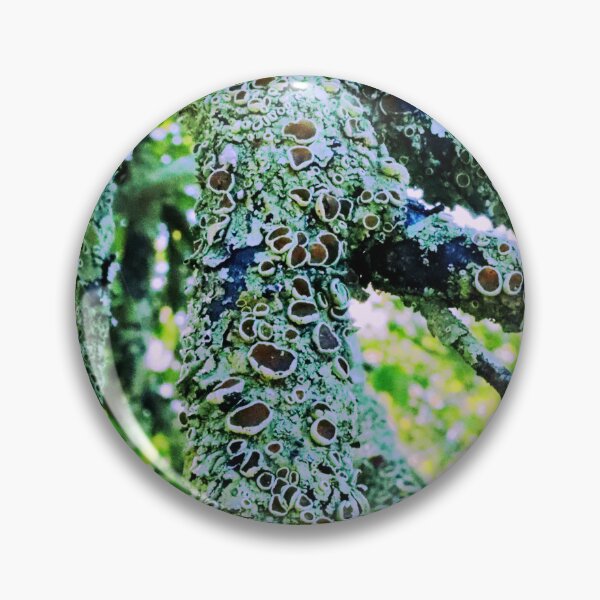 Item preview, Growth designed and sold by Geoff Treagus.