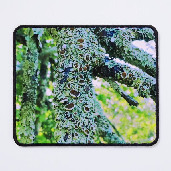 Item preview, Growth designed and sold by Geoff Treagus.